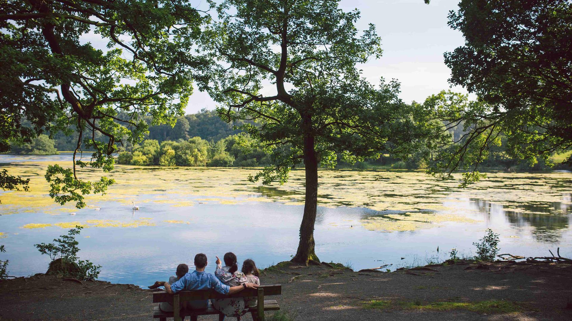 Family on a bench looking over the lake at Hillsborough Forest