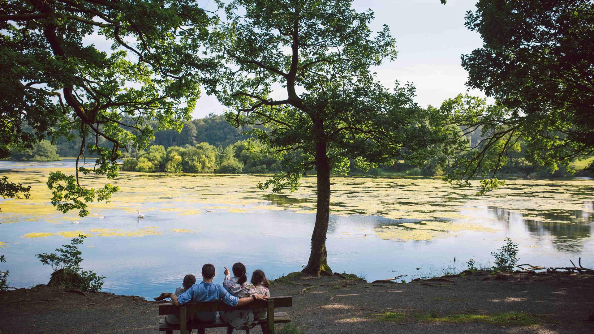 Family ona bench looking over the lake at Hillsborough Forest