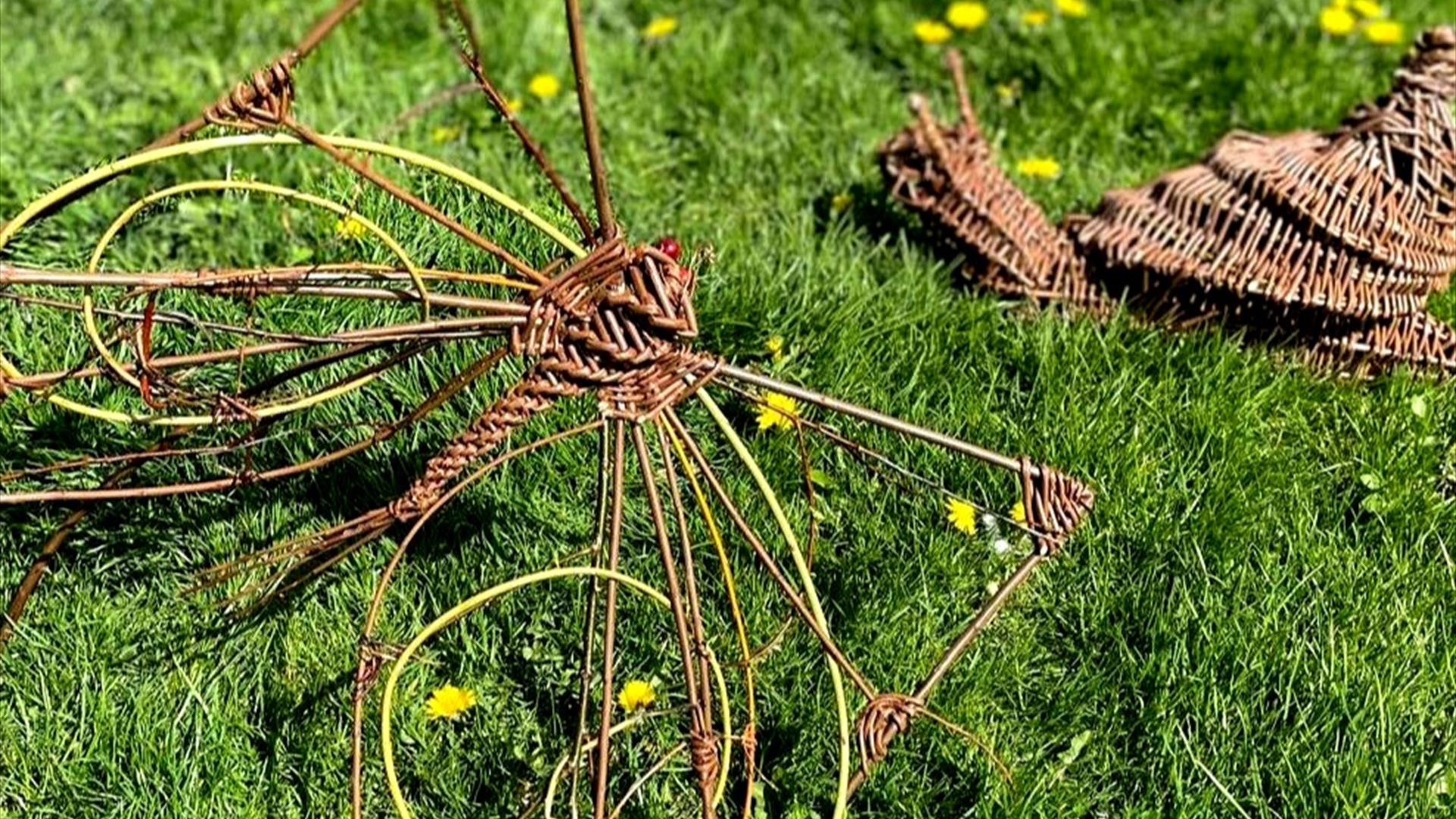 Weave a Willow Dragonfly and Butterfly Workshop in The Walled Garden
