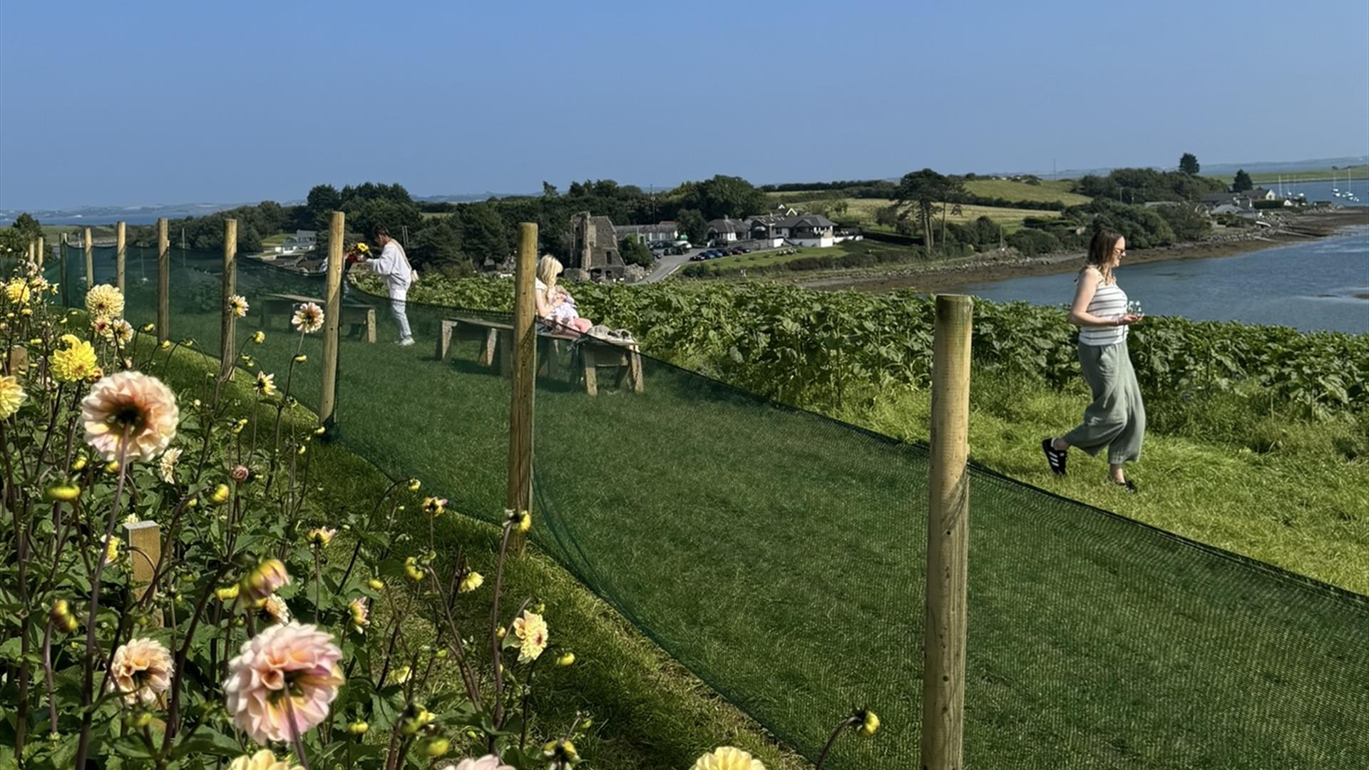 Millbank Farm Flower Fest