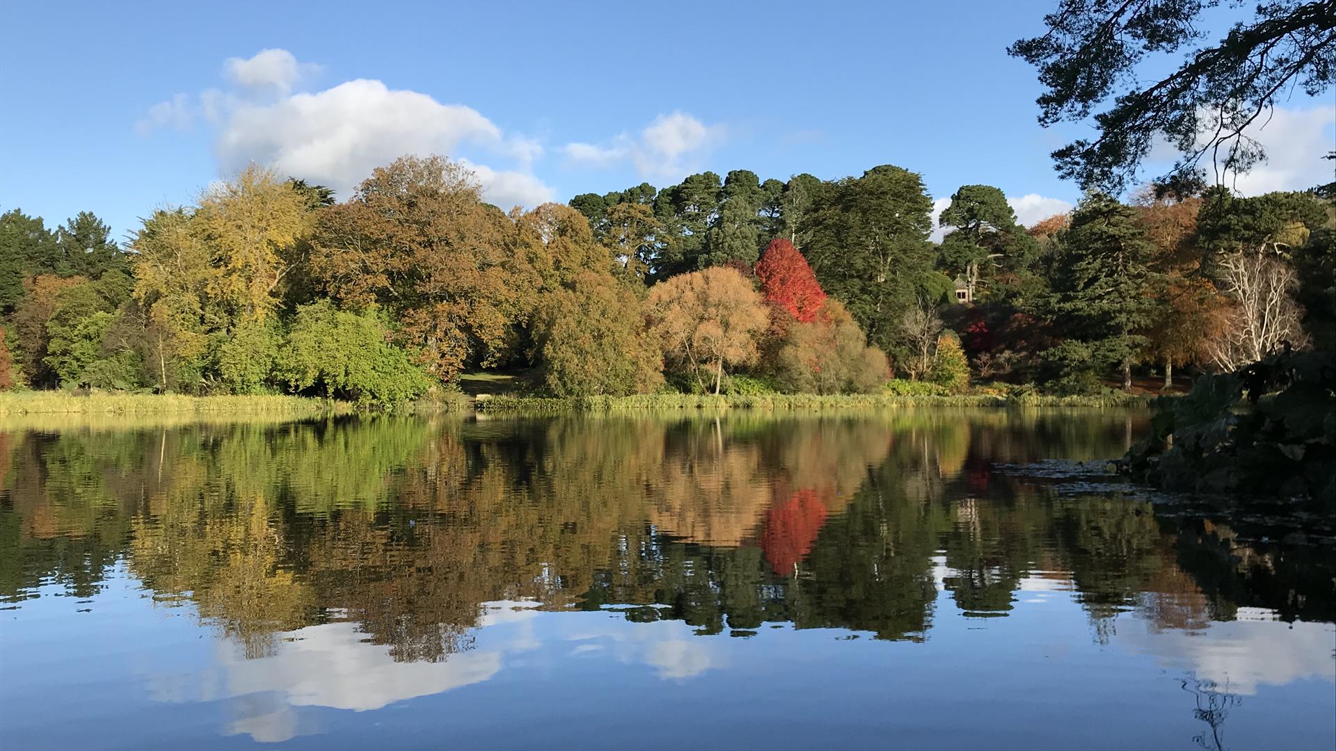 Lake Walk in Autumn