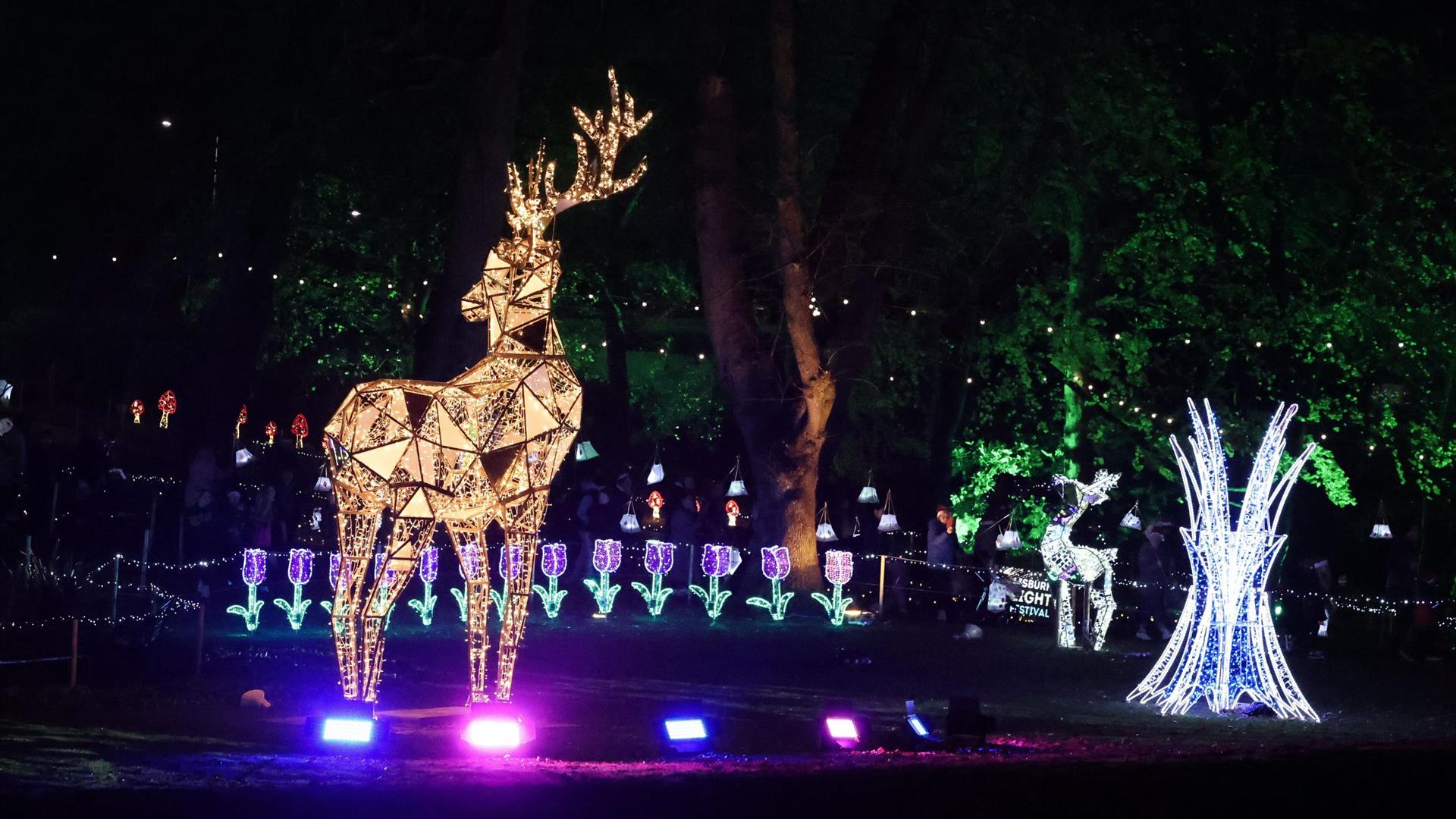 Image is of Lisburn Light Trail 2024 in Castle Gardens