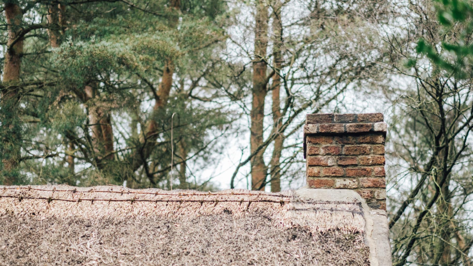 Image of a thatched roof cottage in the rural Ulster area of Ulster American Folk Park