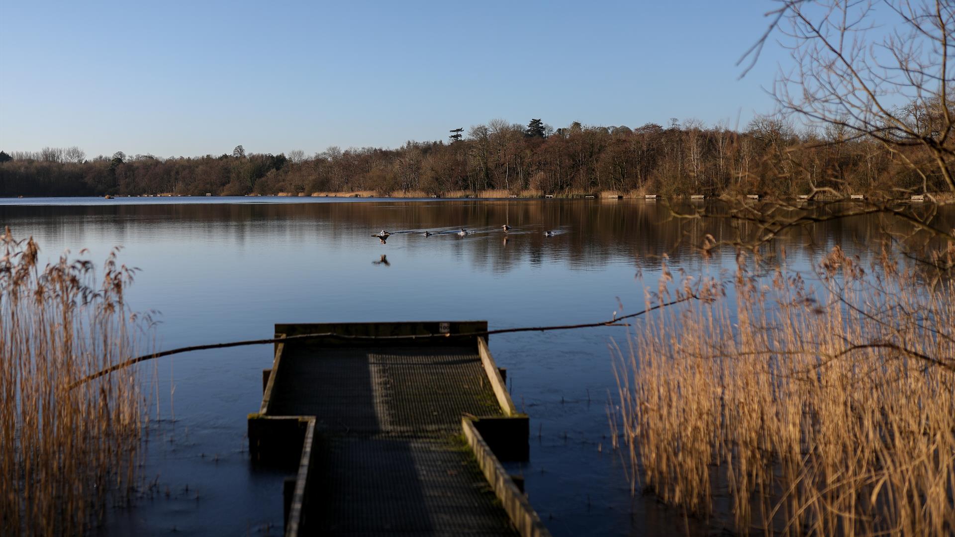 Loughgall Country Park