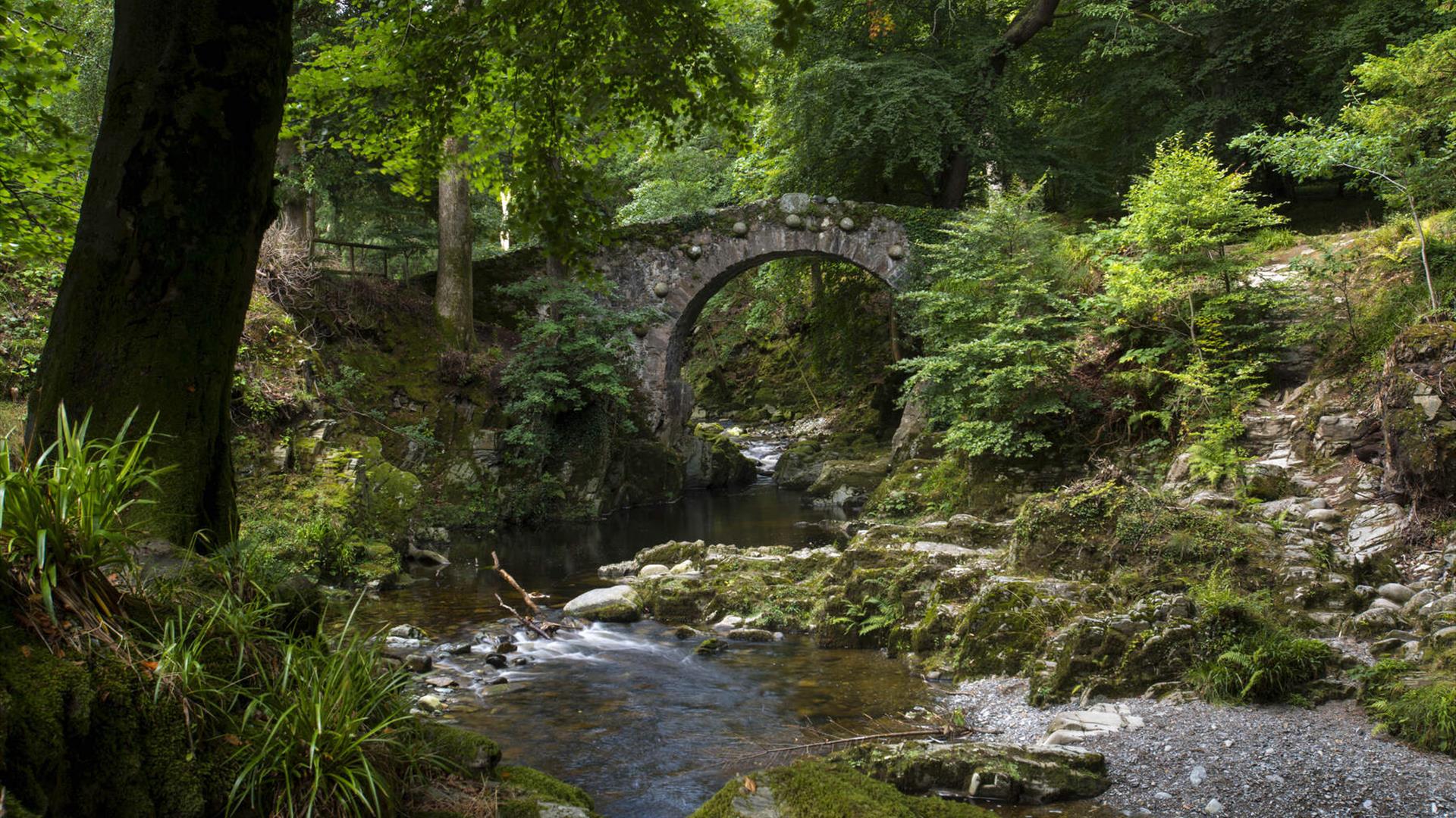 Tollymore Forest Park