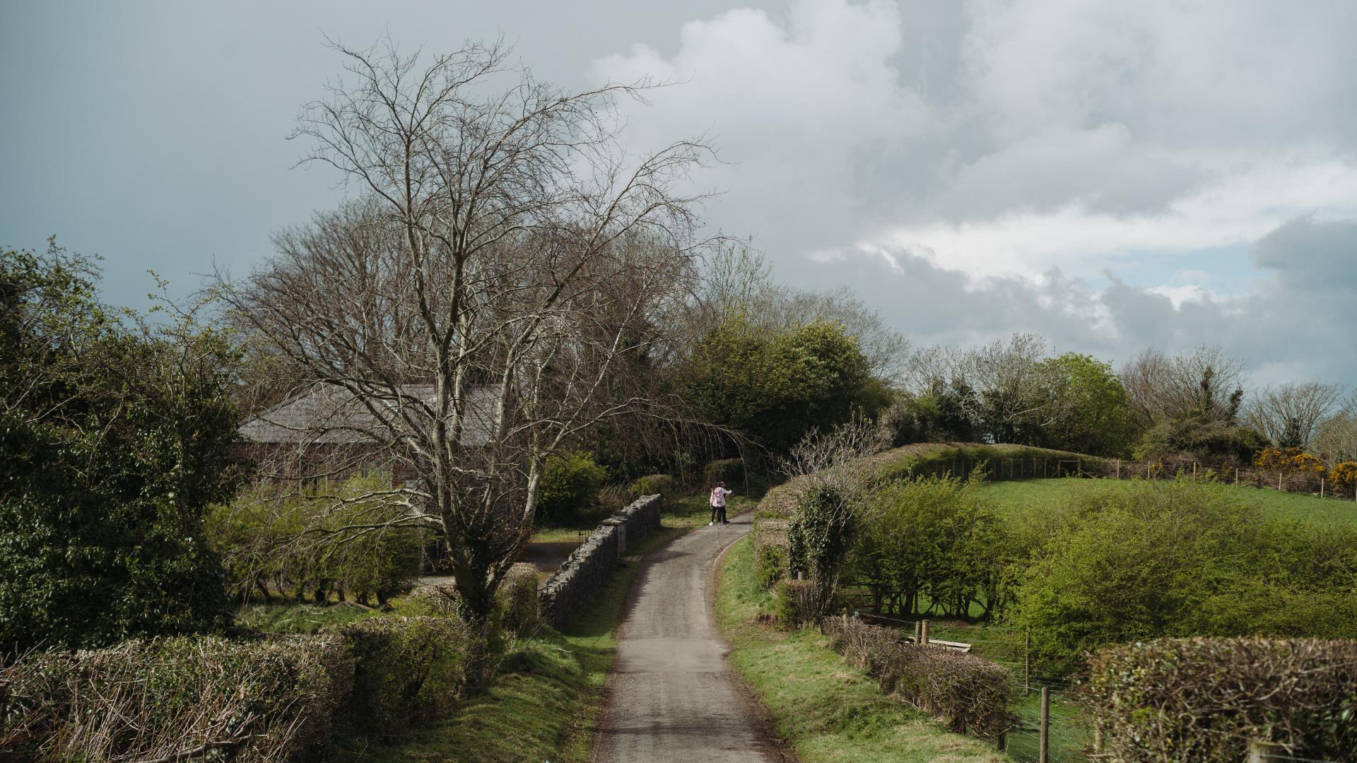 Learn to identify native tree species at the Ulster Folk Museum