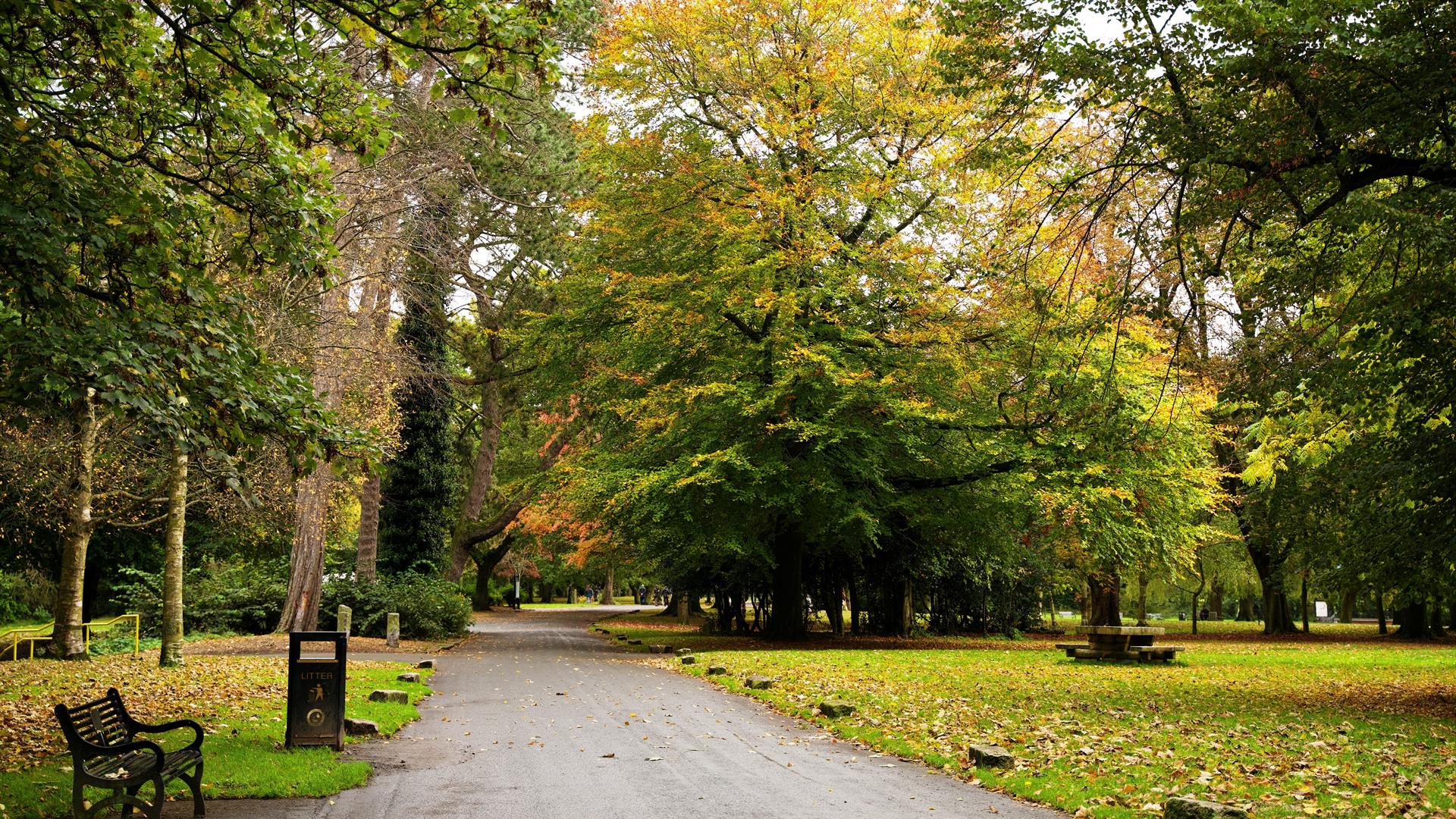 Ormeau Park