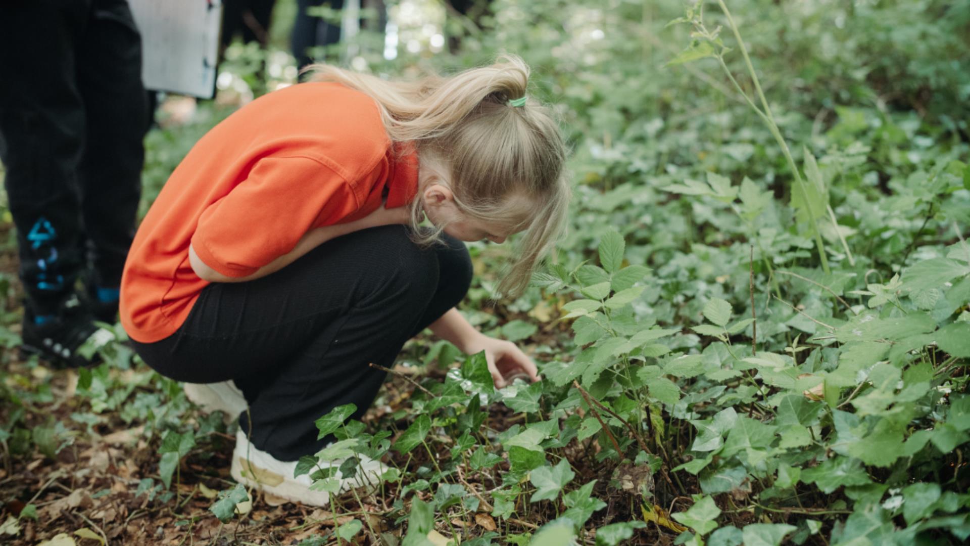 Sensory Nature Walk at the Ulster Folk Museum