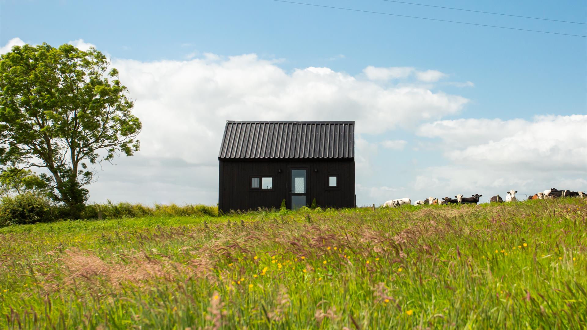 The Little Black Burrow