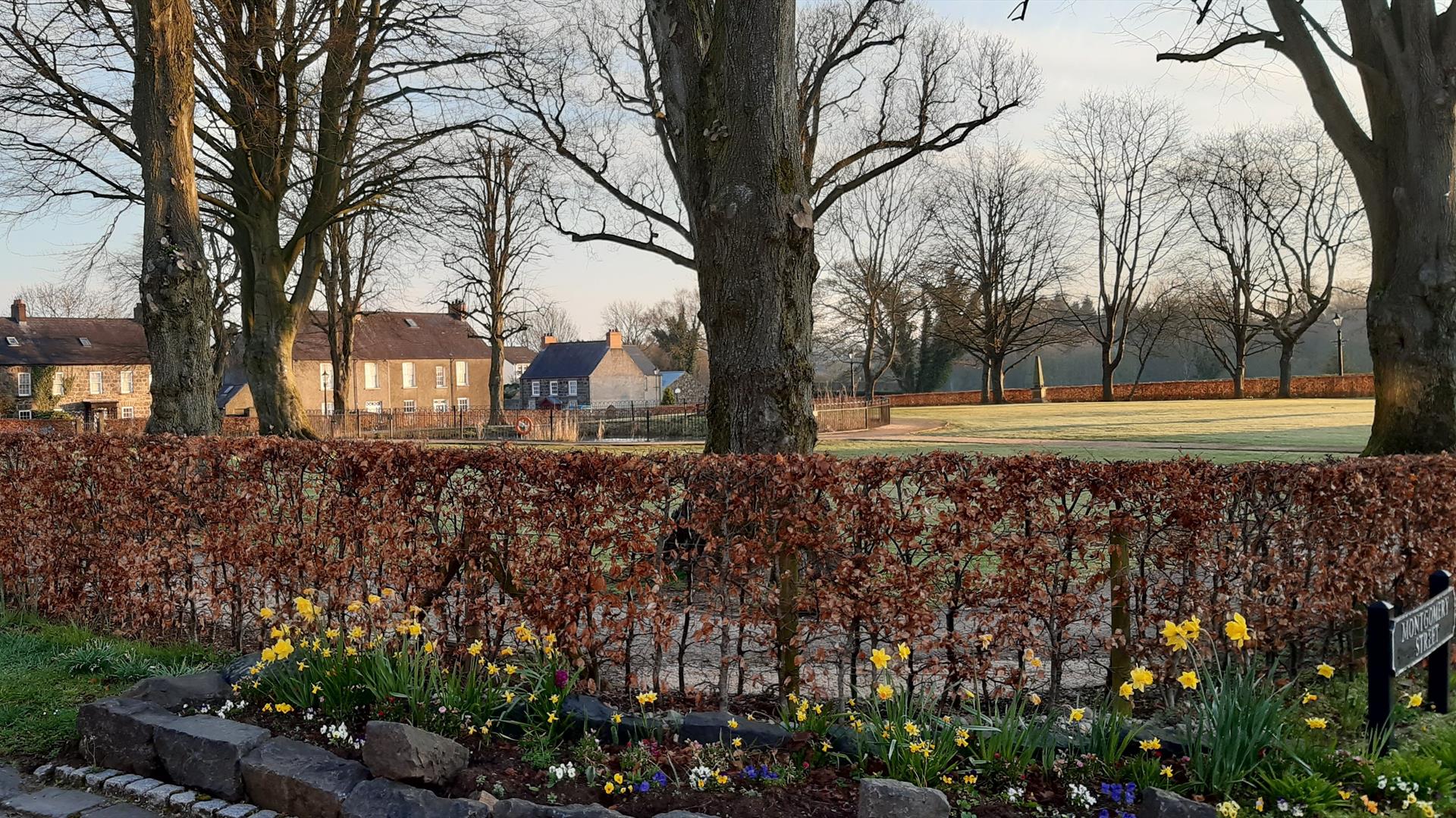 Gracehill Moravian Village Museum & Walking Tours Gracehill