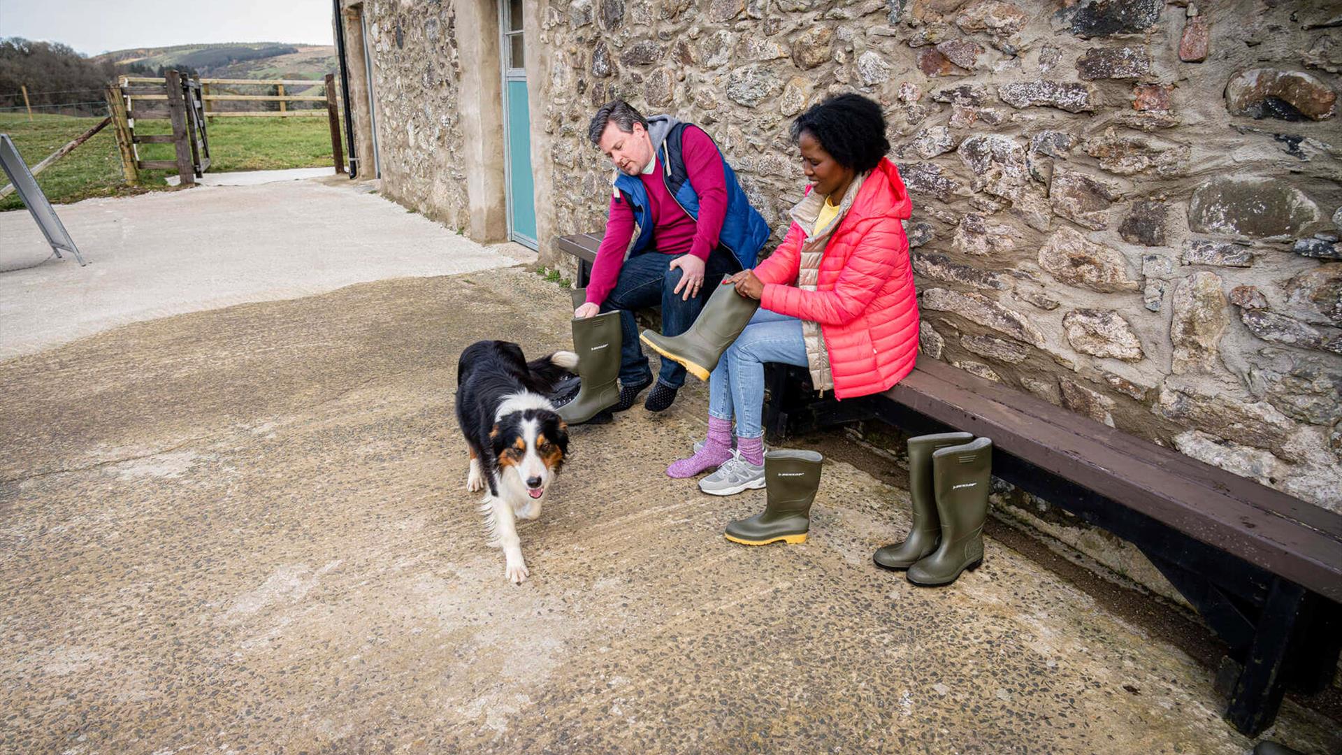 Dunfin Farm Sheep Experience - Ballycastle - Travel Trade