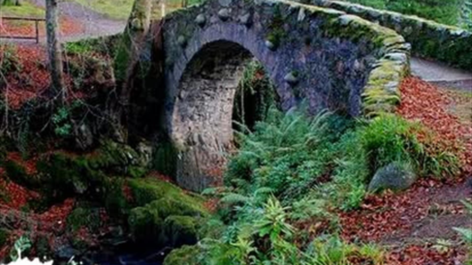 Foleys Bridge