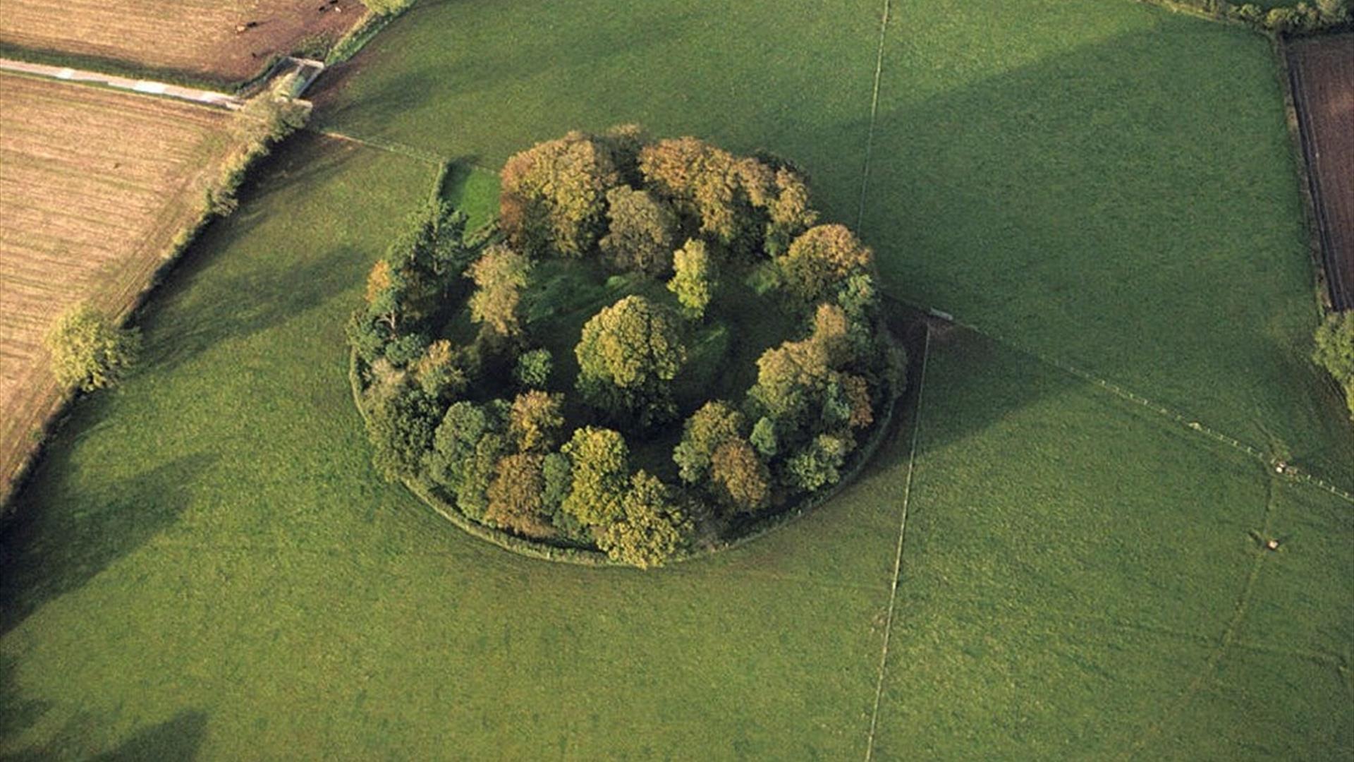 Arial View Of Fort