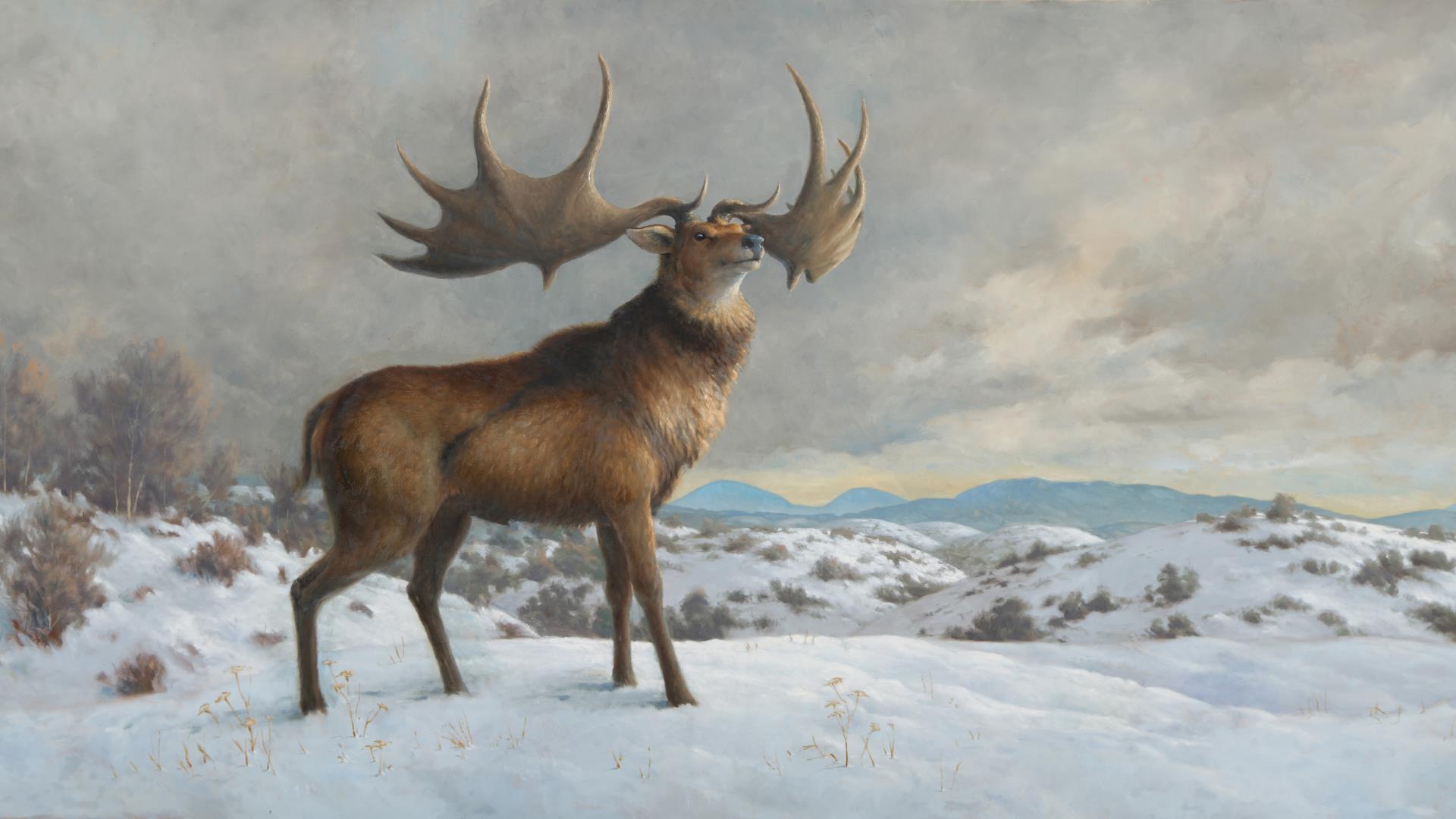 A Wild Ireland painting by Julian Friers