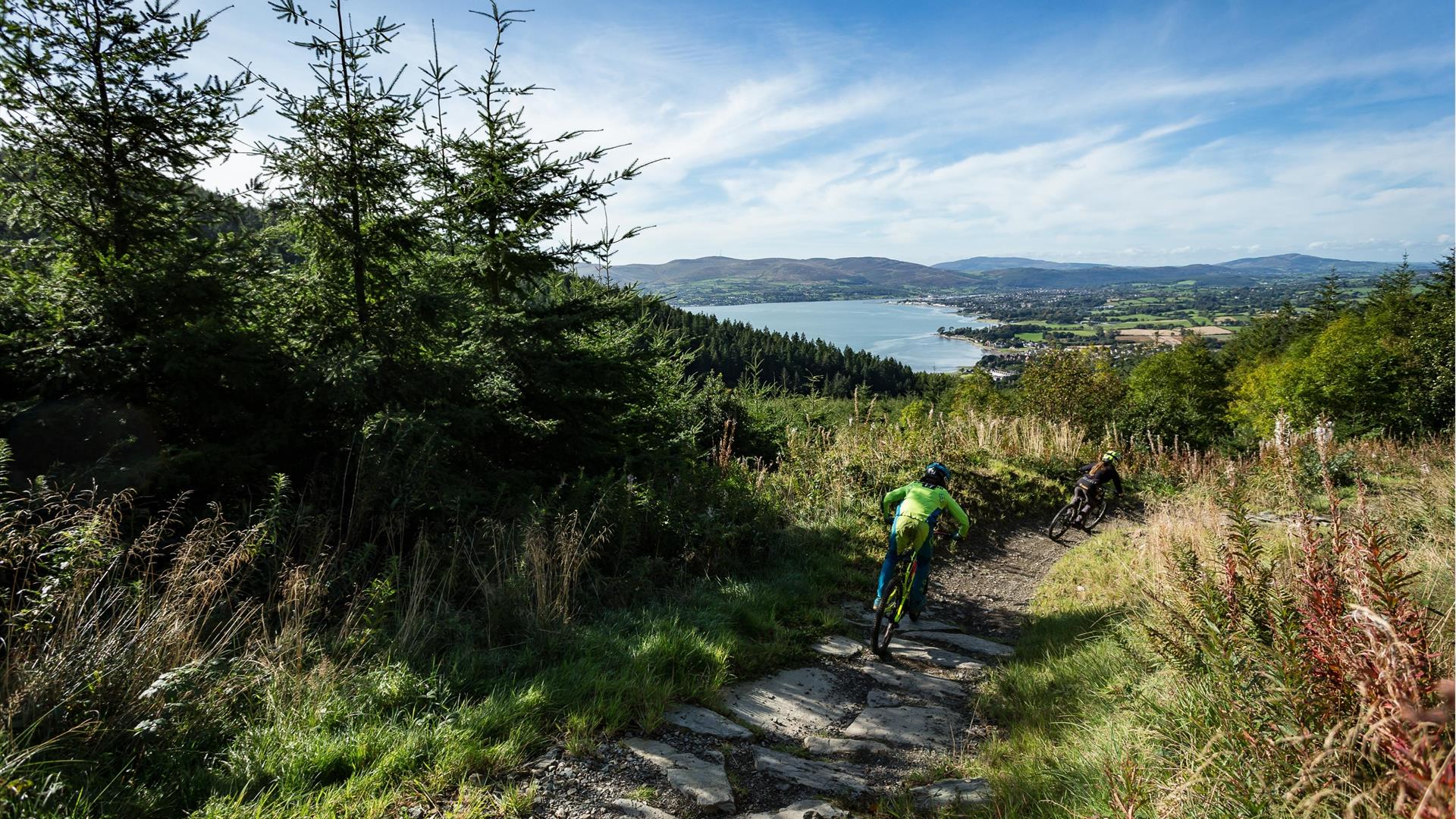 Rostrevor Mountain Bike Trail