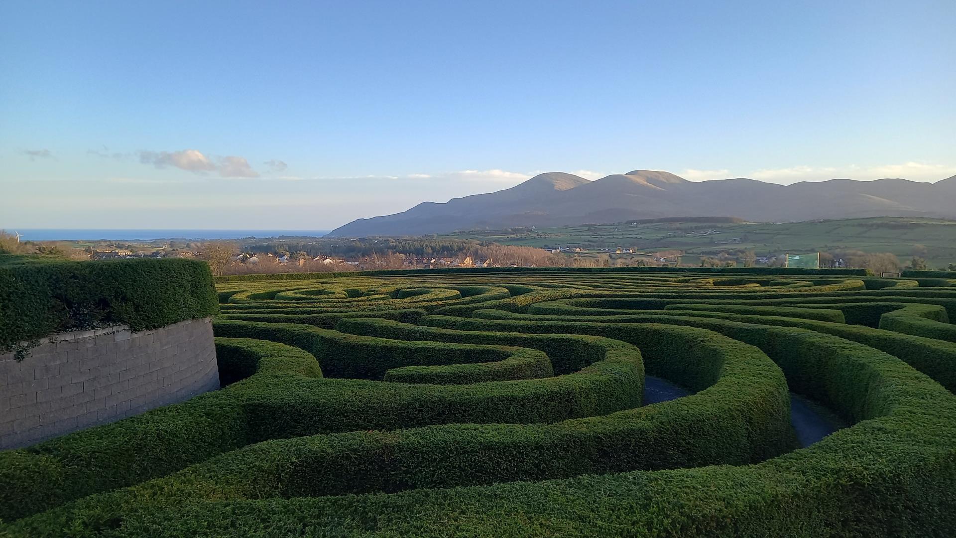 A view of Castlewellan Peace Maze with the Mourne Mountains as a backdrop. Visitors can attempt to solve their way to the centre of the maze.

