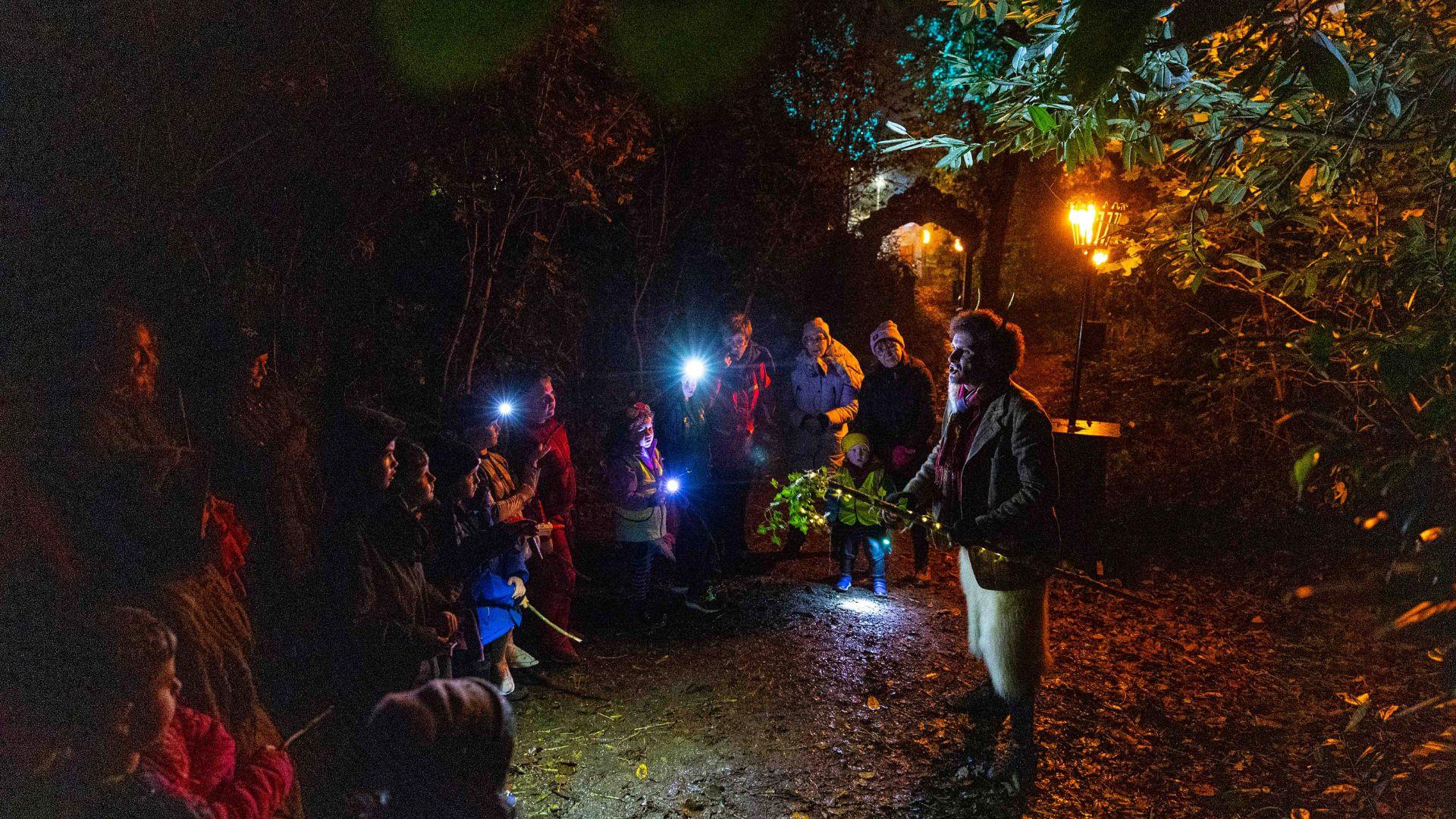 Storytelling in Slieve Gullion Forest Park at Footsteps in the Forest.