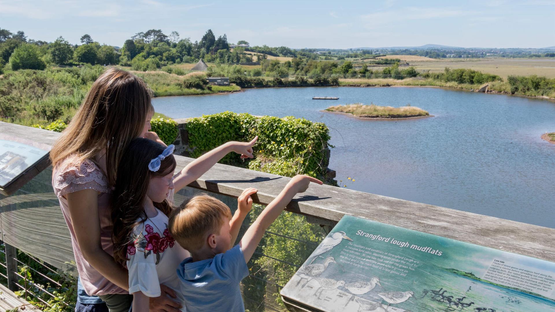 Shorelife Celebration - Mount Stewart and Castle Espie