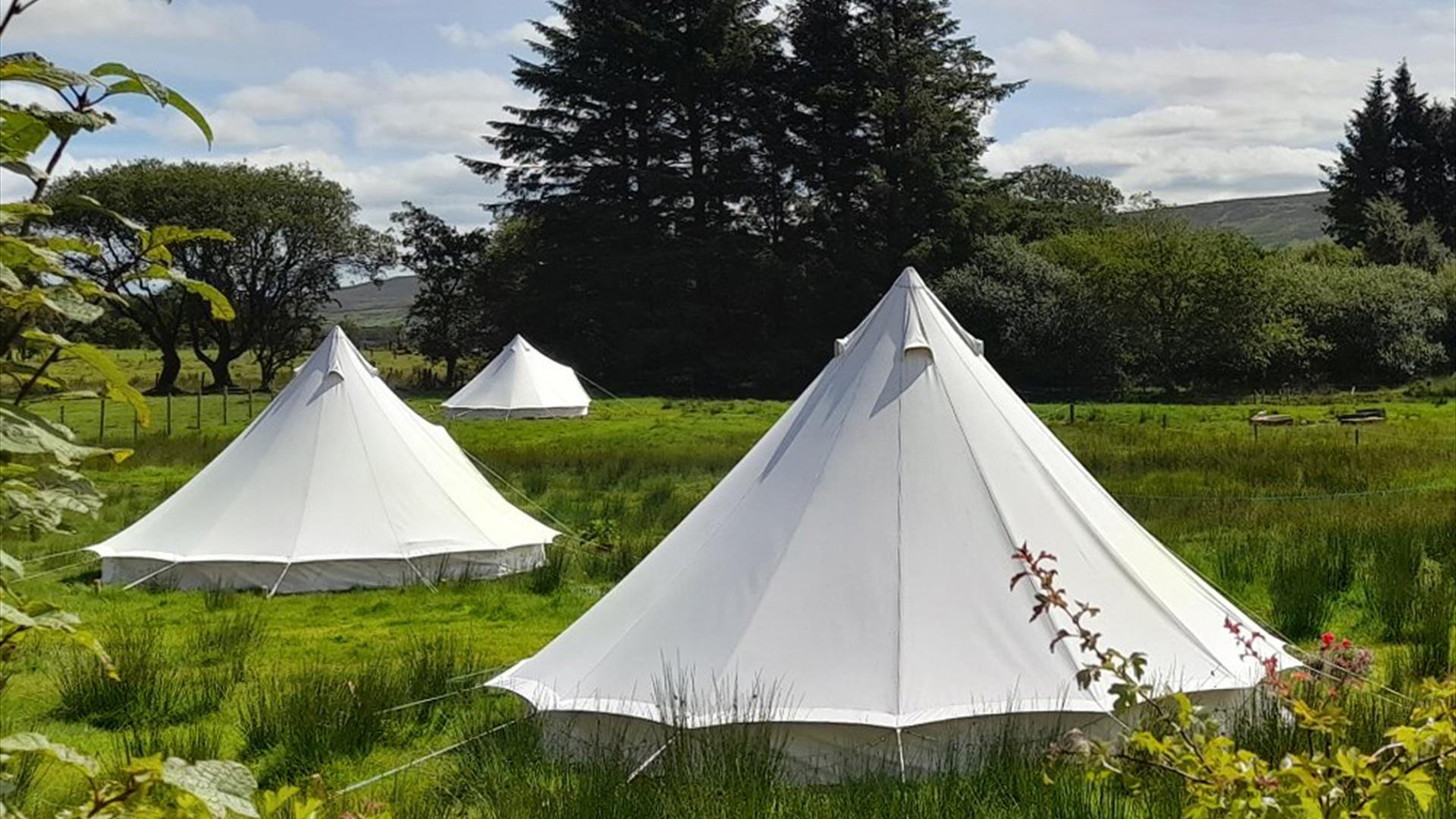 Bell tents at Willow and Lore Wild Glamping