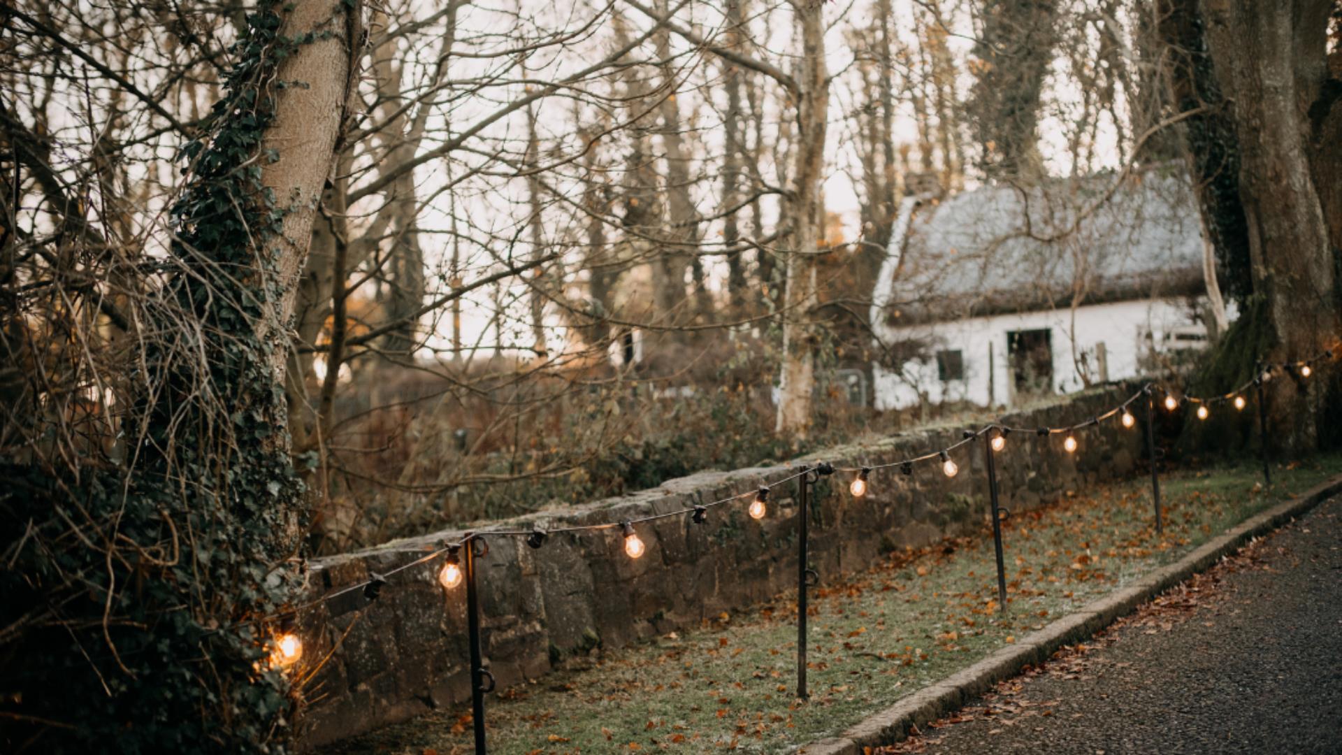 Winter Foraging at Ulster Folk Museum