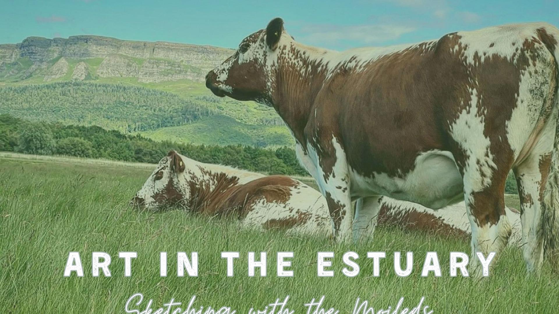 Art in the Estuary | Sketching with the Moileds
