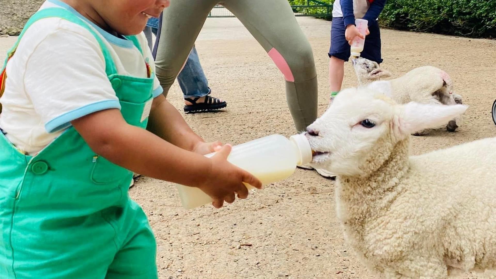 bottle feeding fort evergreen