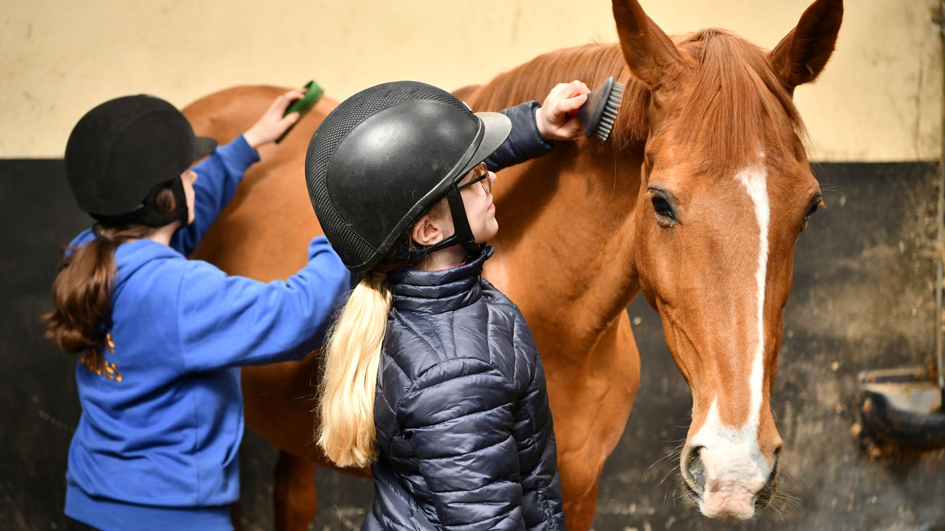 2 girls are brushing a horse