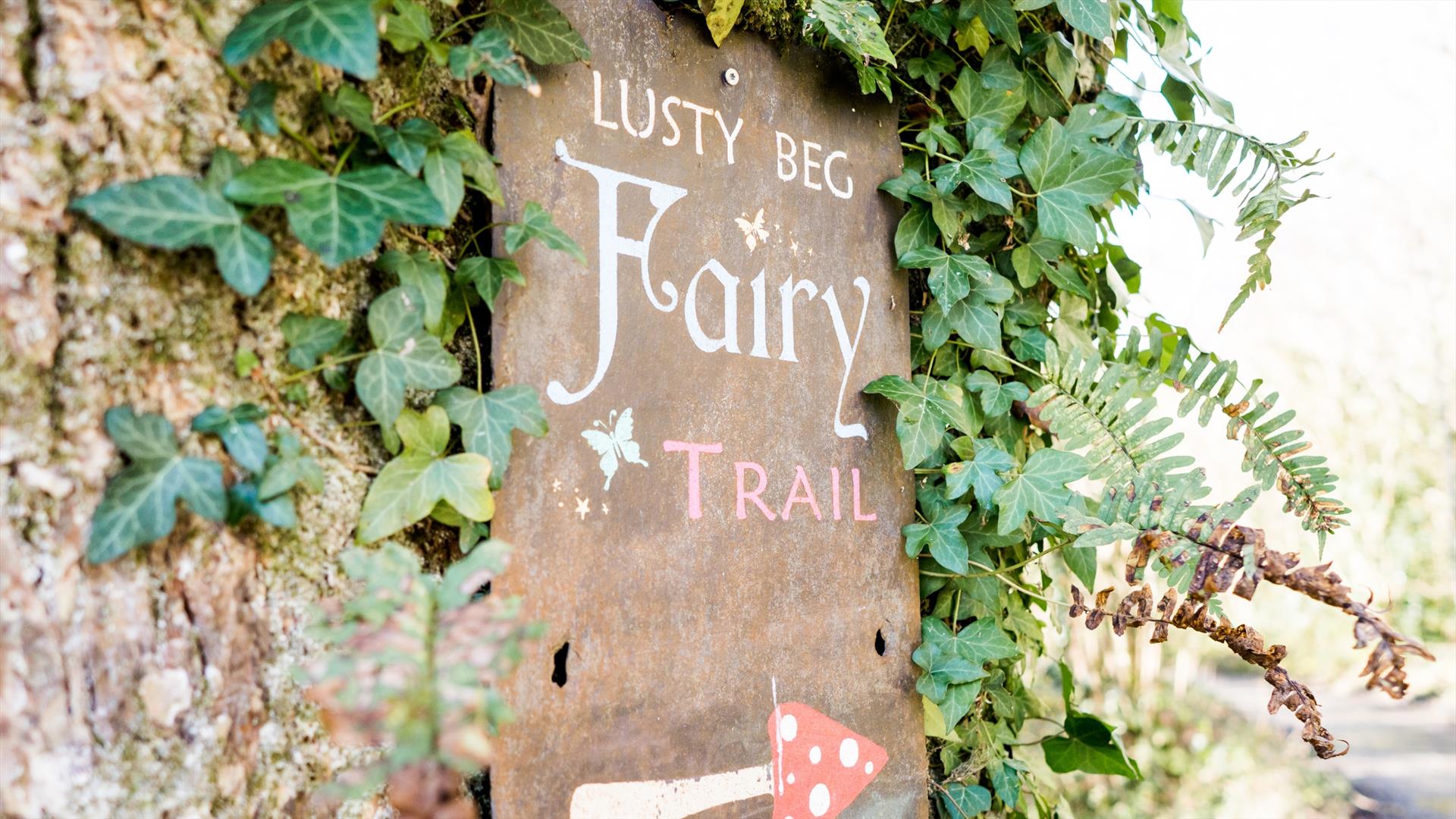 The Fairy Trail at Lusty Beg Island Resort & Spa