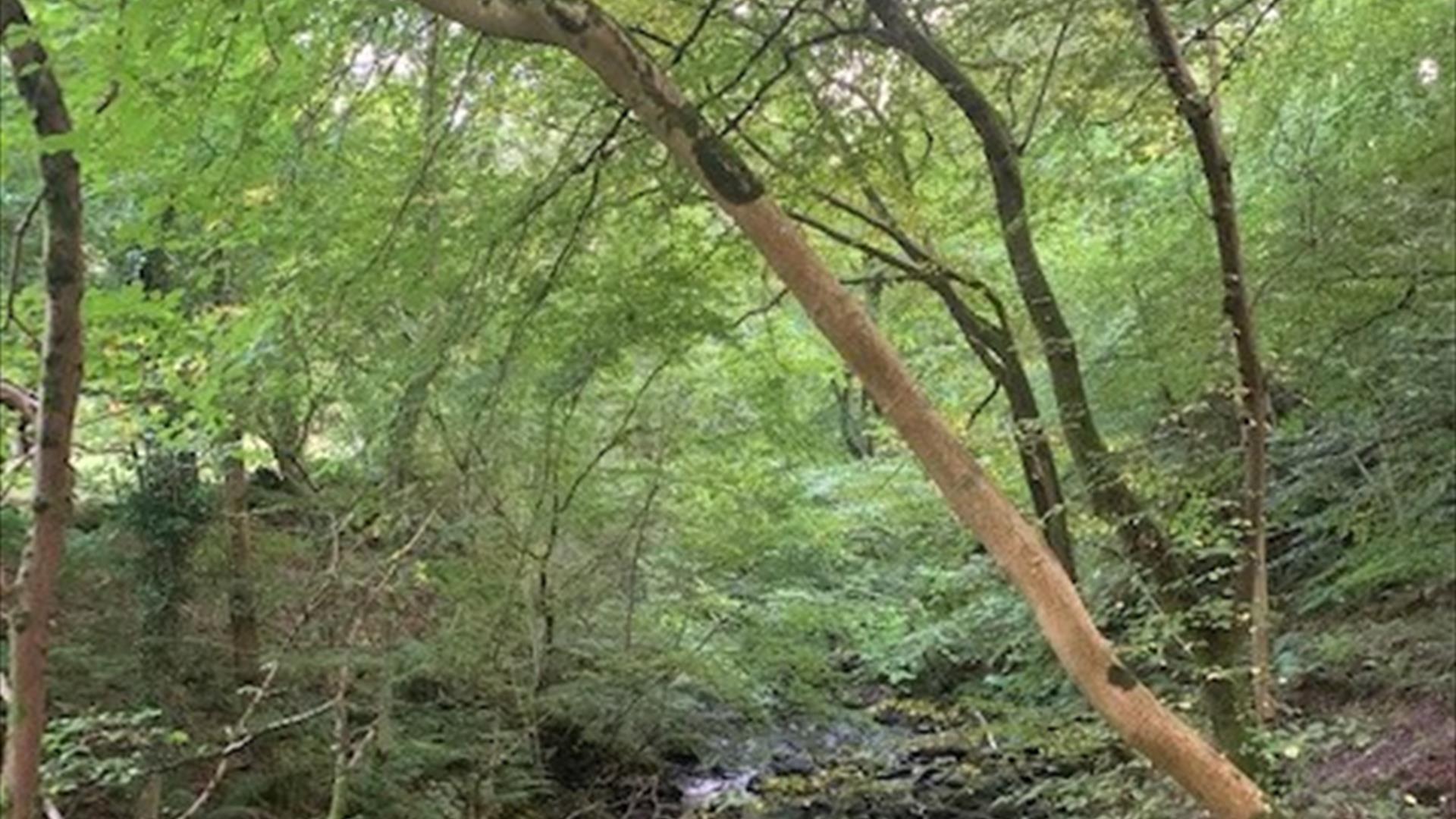 glens of antrim
