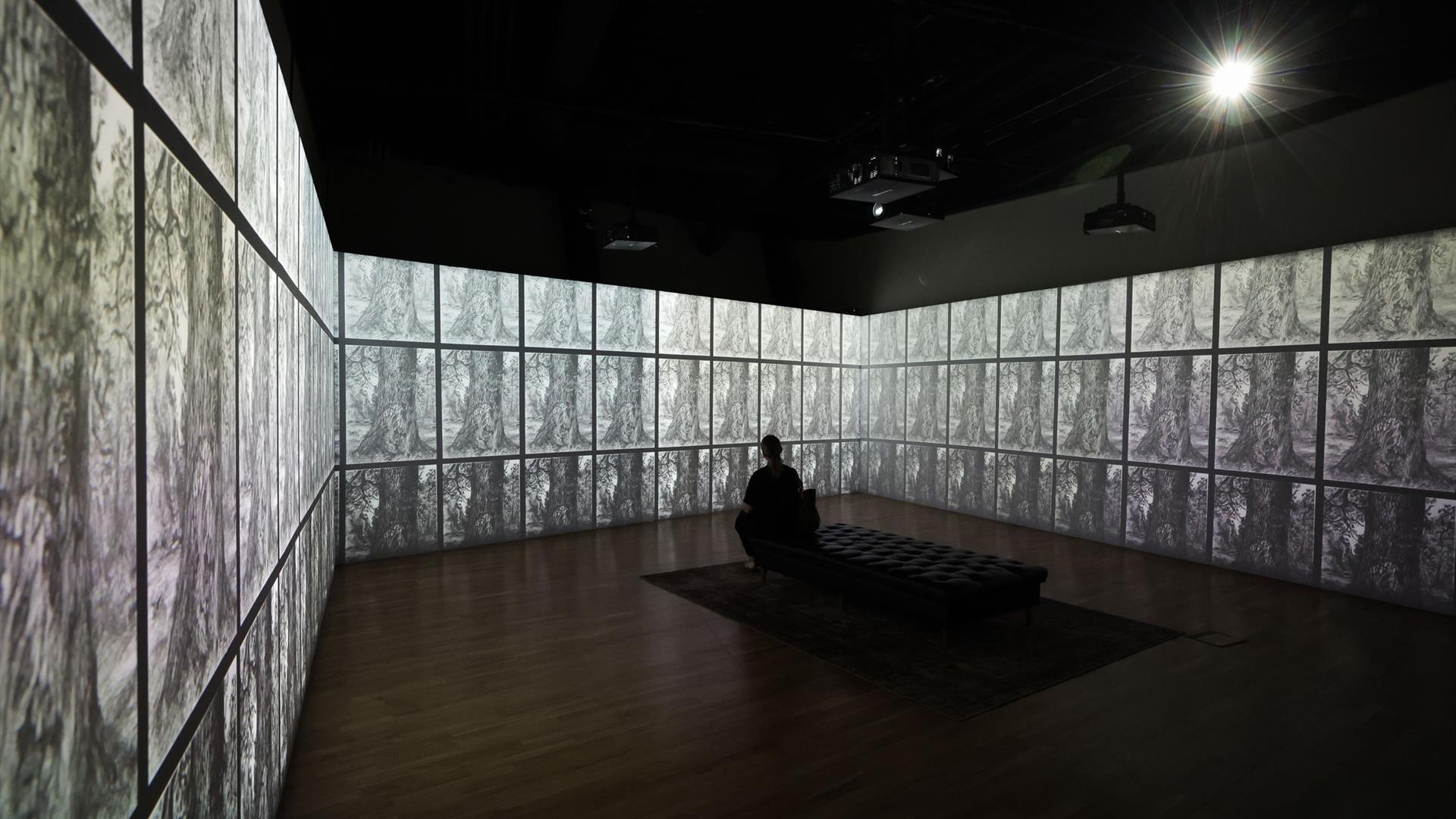 Lucian Freud's Etchings: A Creative Collaboration at Titanic Belfast