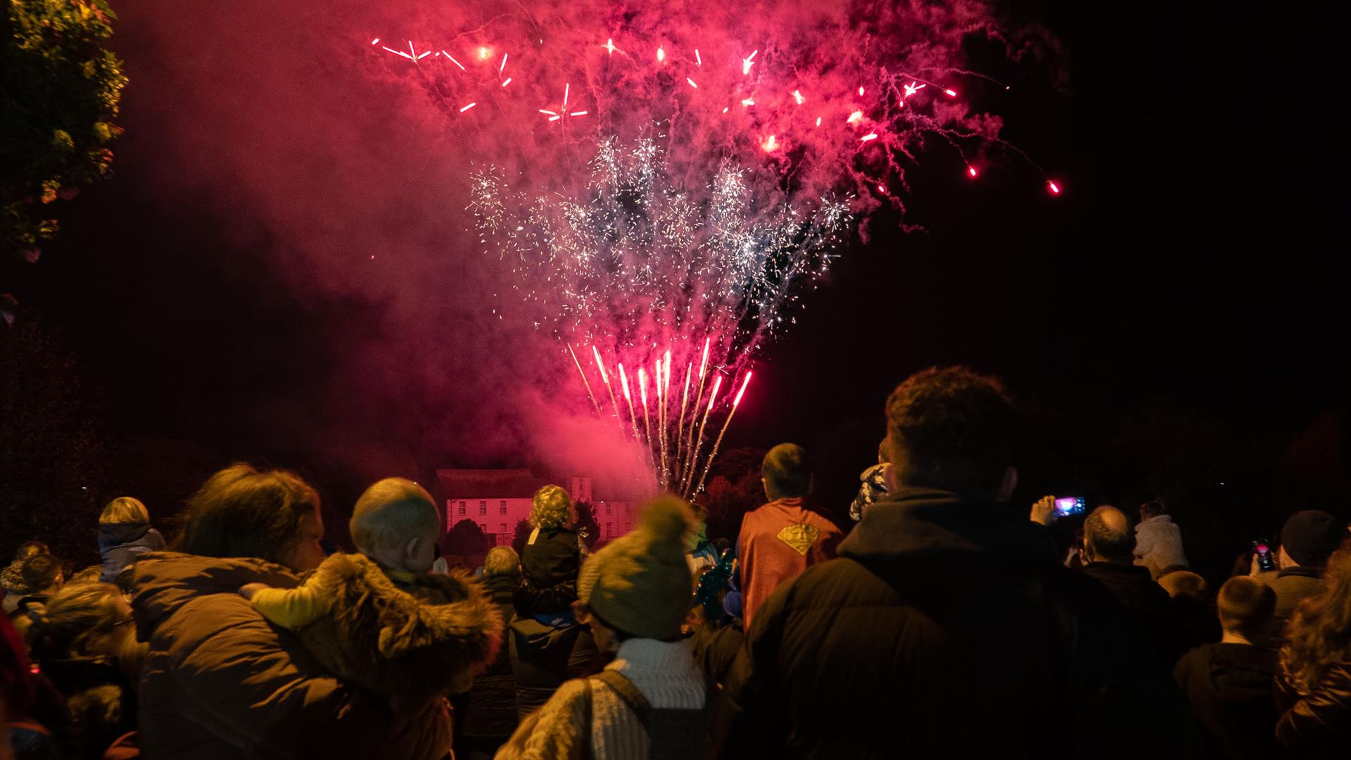 Fireworks display in front of a crowd of people