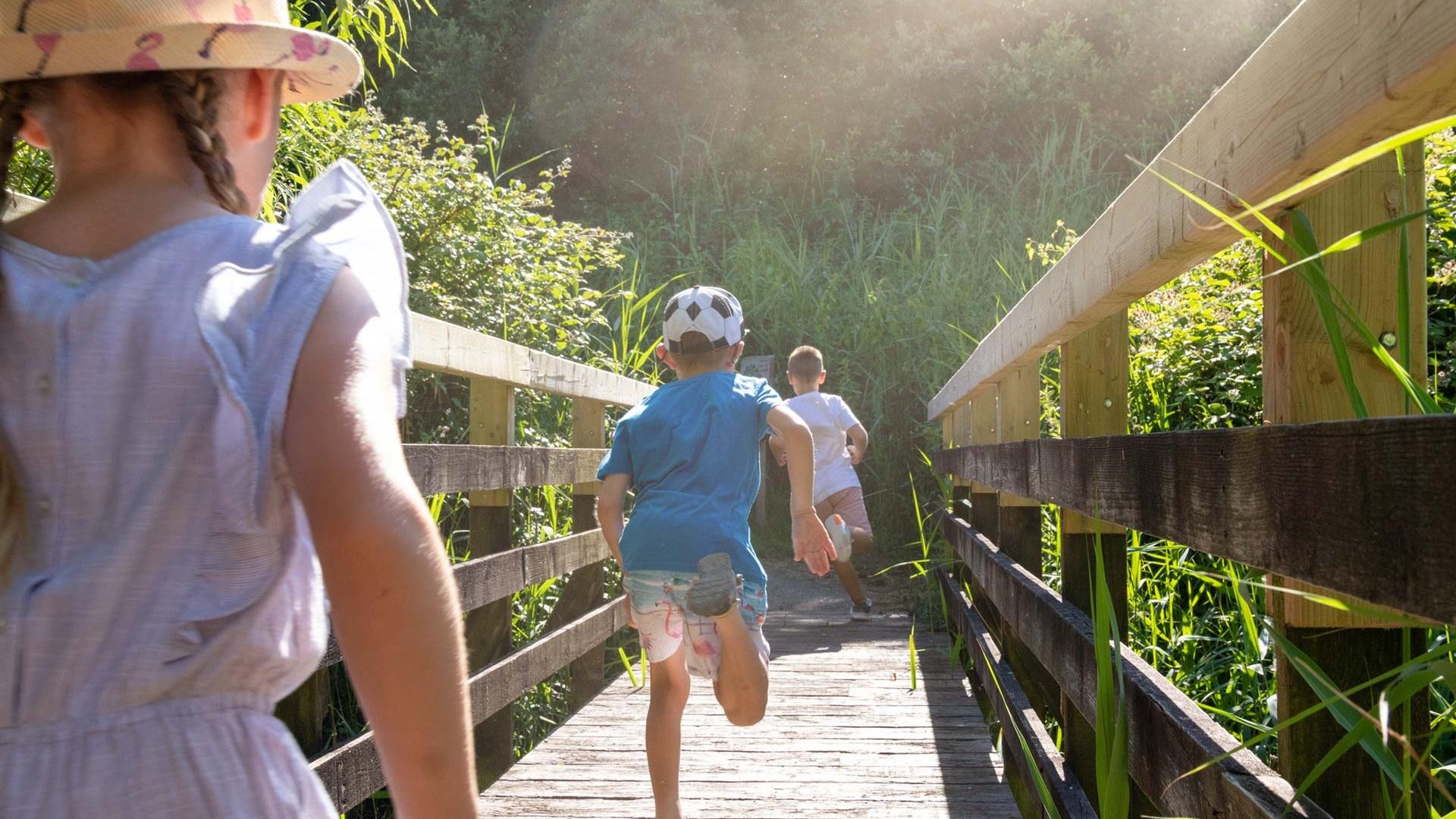 Children running across a bridge in the summer sun at the wetlands.