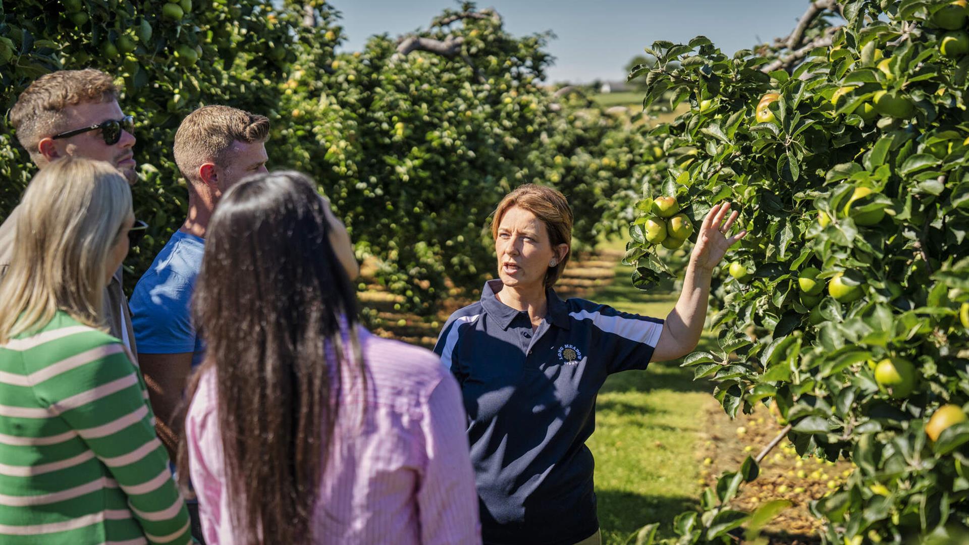 Catherine talks to a group about the apple orchards based at Long Meadow