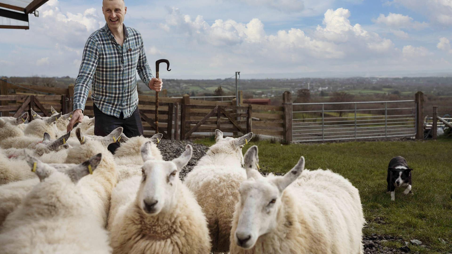 Jamese the shepherd at Glenshane Sheep Farm, with Tess the sheepdog