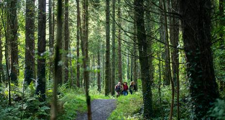 Tom’s Island Walk- Castle Archdale