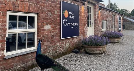 Outdoor Front Entrance