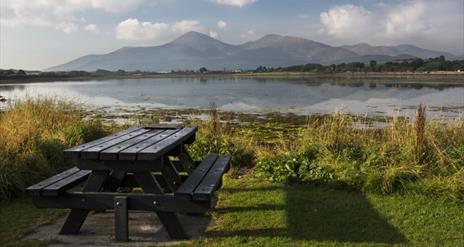 Mourne Gullion Strangford Geopark