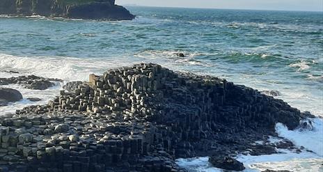 Little North Coast Tours