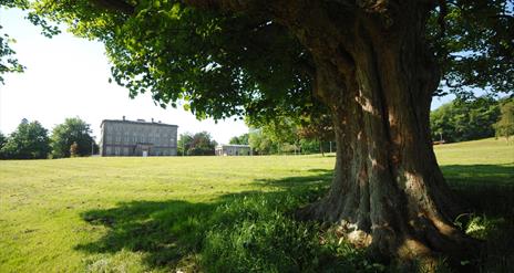 The Palace Demesne Public Park