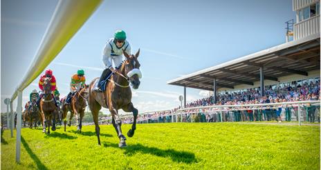 Downpatrick Racecourse Fixtures