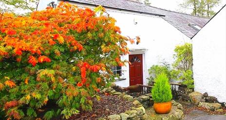 An entrance to a country cottage with a large orange plant and a small potted plant.