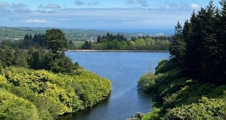 Angling @ North Woodburn Reservoir (Carrick Dams)