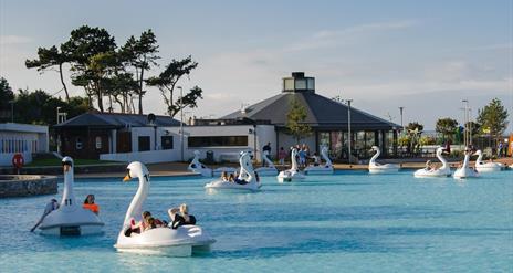 Photo of people enjoying rides on the Giant Swans pedal boats on the blue waters of the man made pond at Pickie Funpark