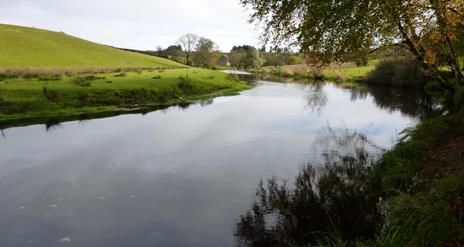 Game Fishing On The Foyle System