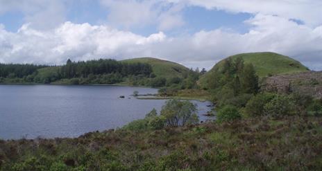 Carrigan Forest: Lough Formal Walk