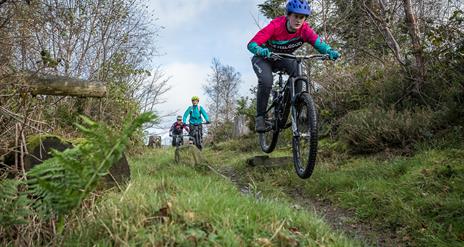 Castlewellan Mountain Bike Trails
