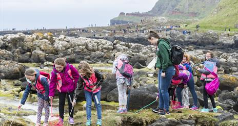 Rockpoolings in the bays of Port Ganny at the Giant's Causeway