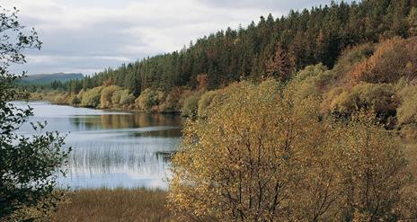 Lough Navar Forest