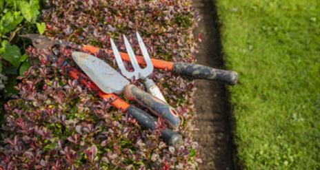 Garden Tools