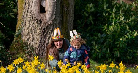 Easter Egg Hunt at Rowallane Garden